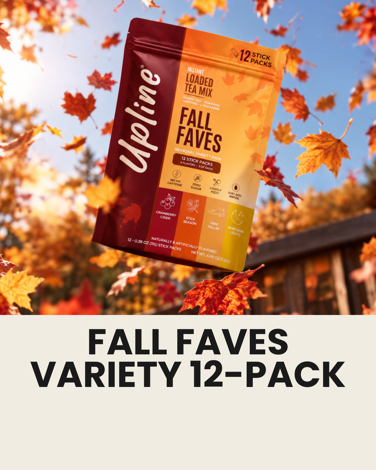 Fall Faves Variety 12-Pack