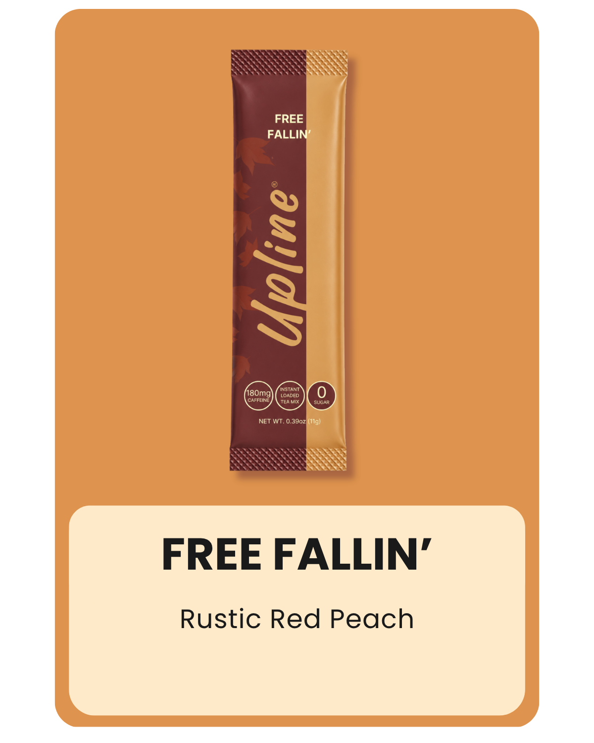 Fall Faves Variety 12-Pack