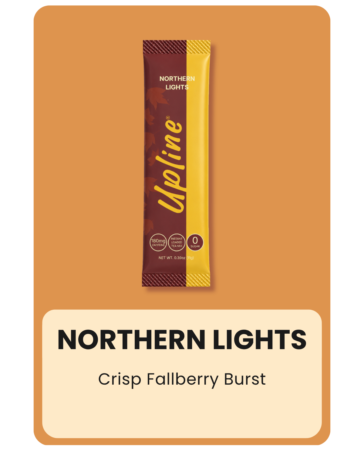 Fall Faves Variety 12-Pack