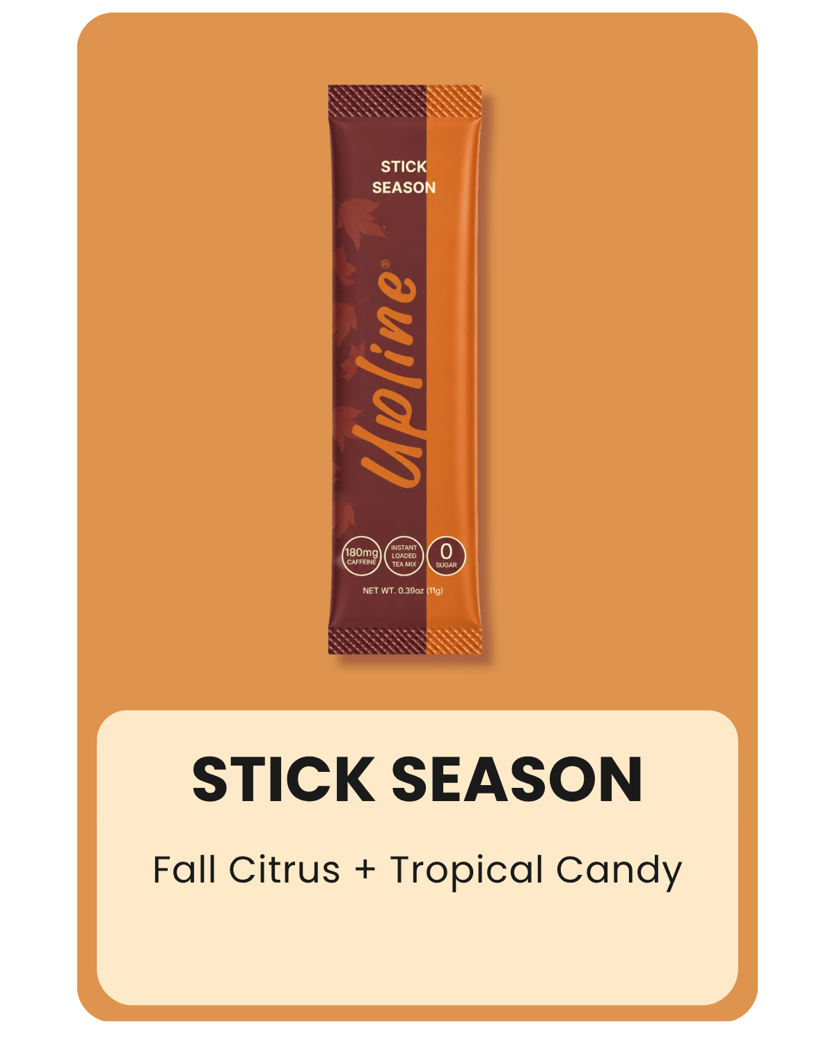 Fall Faves Variety 12-Pack